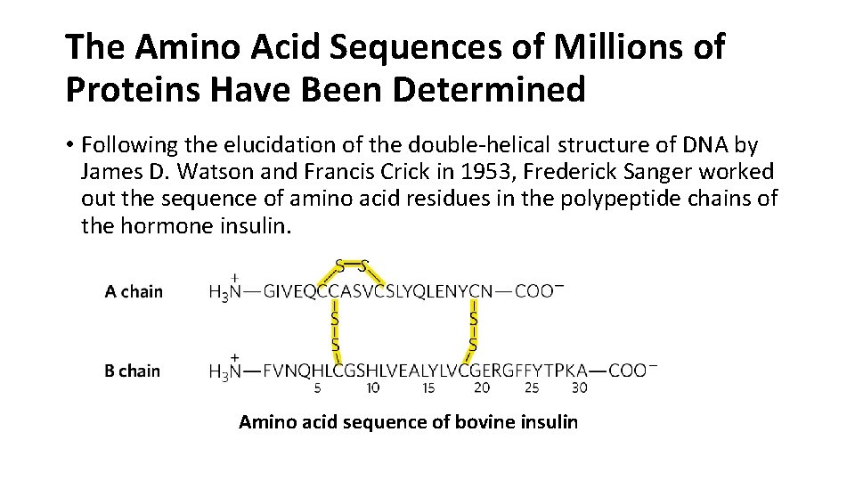 The Amino Acid Sequences of Millions of Proteins Have Been Determined • Following the