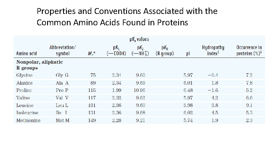 Properties and Conventions Associated with the Common Amino Acids Found in Proteins 