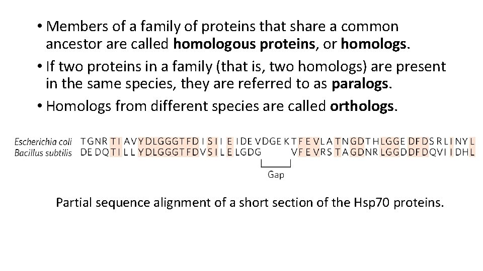  • Members of a family of proteins that share a common ancestor are