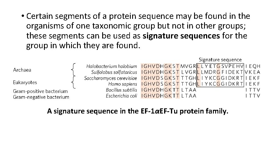  • Certain segments of a protein sequence may be found in the organisms