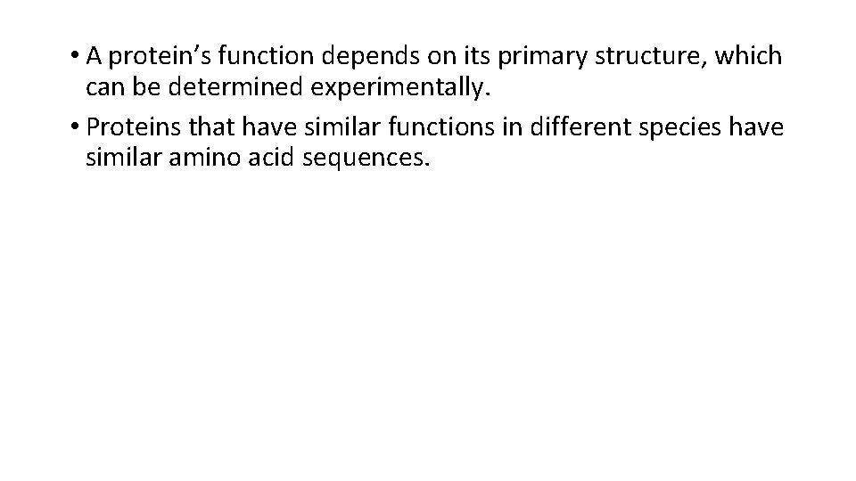  • A protein’s function depends on its primary structure, which can be determined