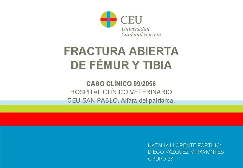 FRACTURA ABIERTA DE FÉMUR Y TIBIA CASO CLÍNICO 09/2056 HOSPITAL CLÍNICO VETERINARIO CEU SAN