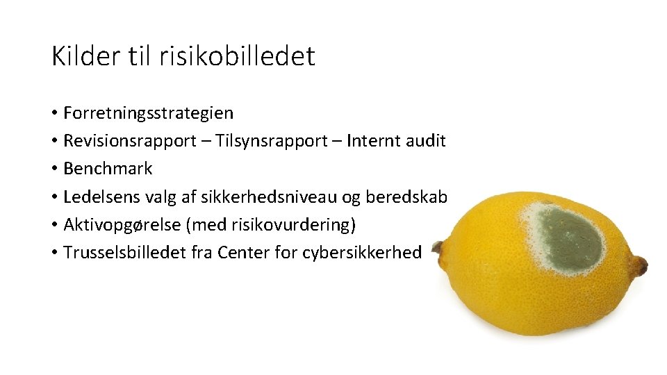 Kilder til risikobilledet • Forretningsstrategien • Revisionsrapport – Tilsynsrapport – Internt audit • Benchmark