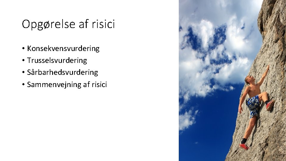 Opgørelse af risici • Konsekvensvurdering • Trusselsvurdering • Sårbarhedsvurdering • Sammenvejning af risici 