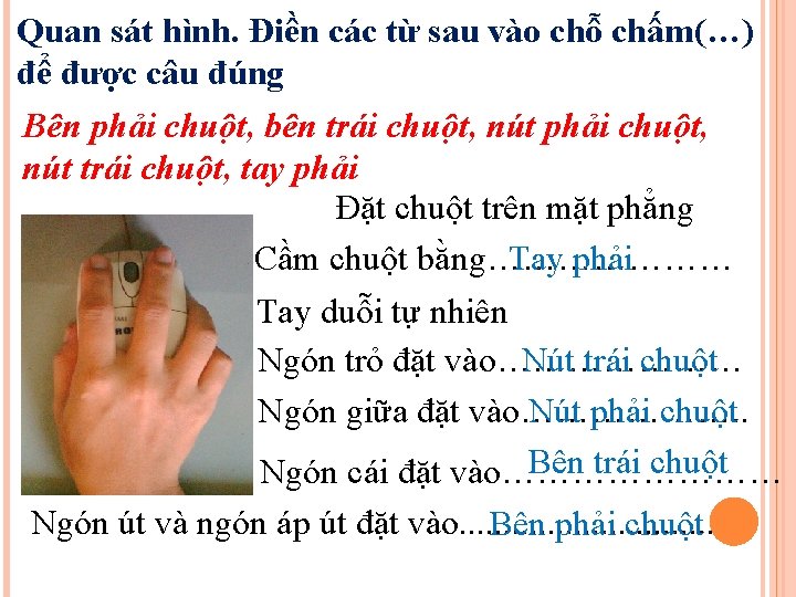 Quan sát hình. Điền các từ sau vào chỗ chấm(…) để được câu đúng