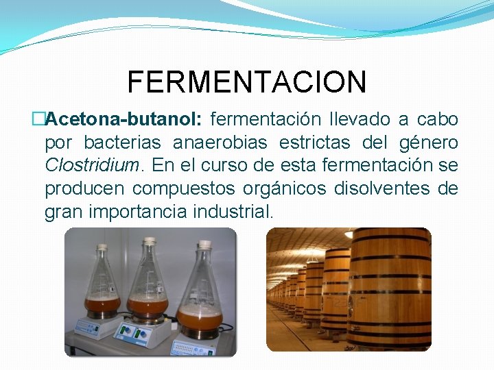 FERMENTACION �Acetona-butanol: fermentación llevado a cabo por bacterias anaerobias estrictas del género Clostridium. En