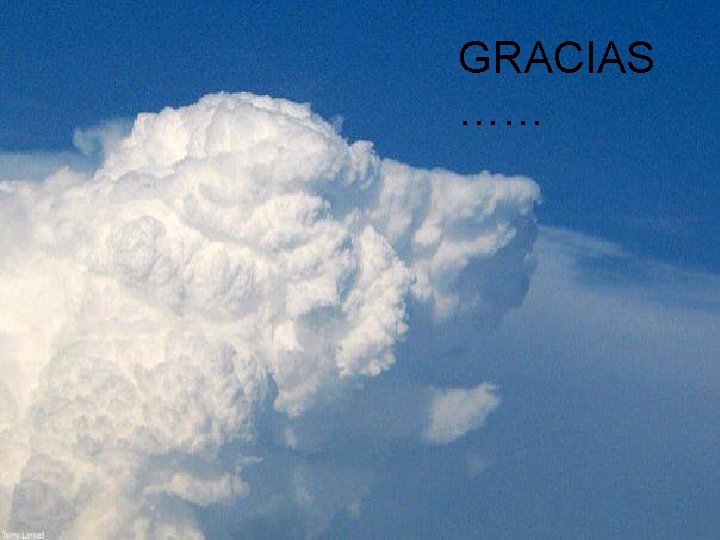 GRACIAS …… 