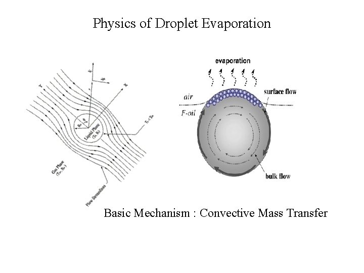 Physics of Droplet Evaporation Basic Mechanism : Convective Mass Transfer 