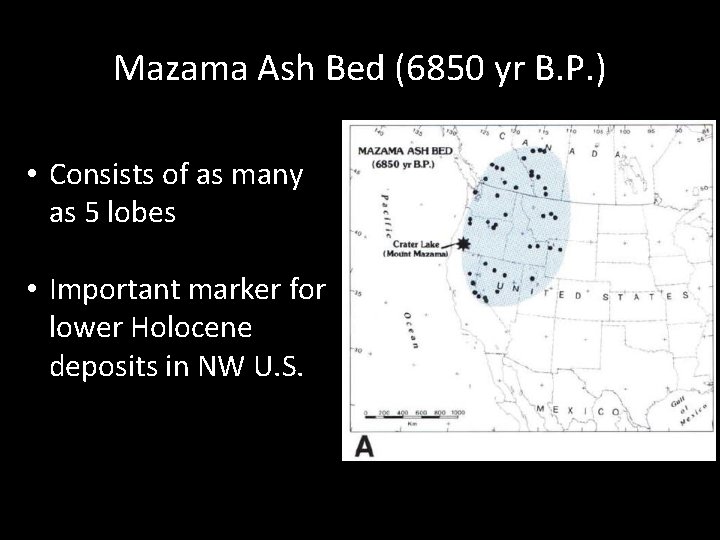 Mazama Ash Bed (6850 yr B. P. ) • Consists of as many as