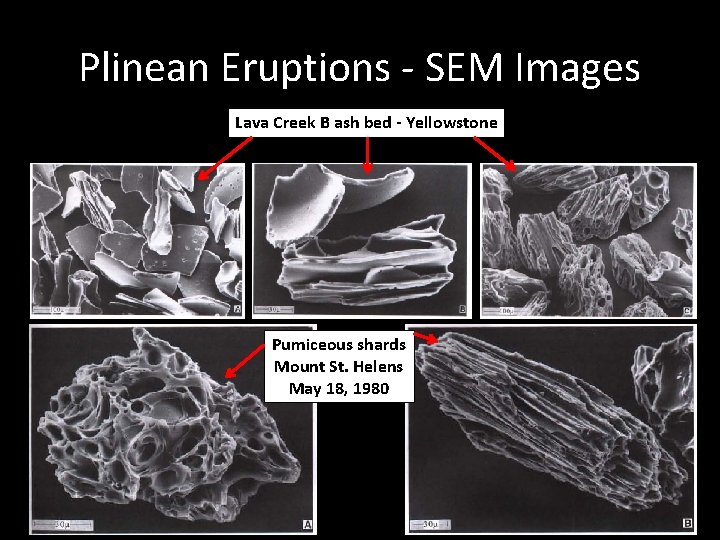 Plinean Eruptions - SEM Images Lava Creek B ash bed - Yellowstone Pumiceous shards