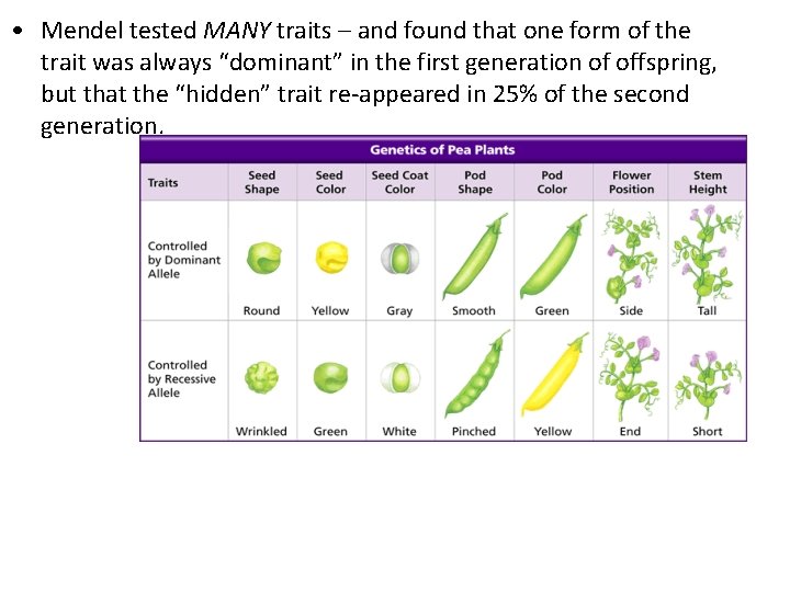  • Mendel tested MANY traits – and found that one form of the