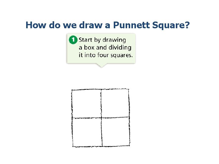 How do we draw a Punnett Square? 
