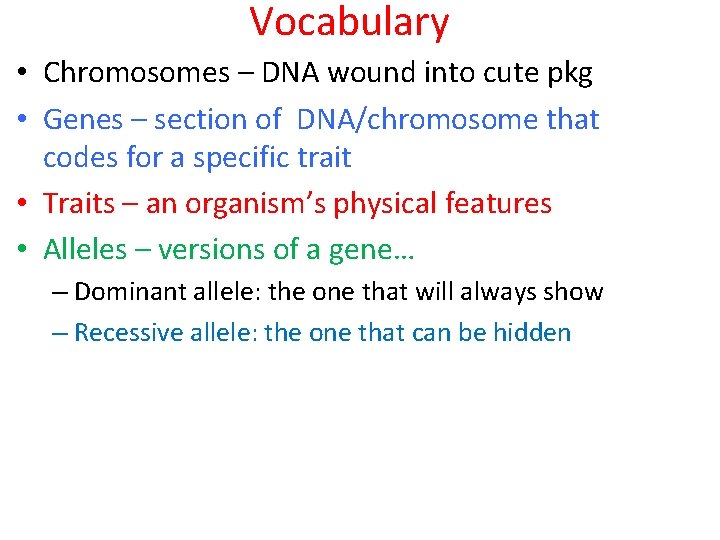 Vocabulary • Chromosomes – DNA wound into cute pkg • Genes – section of