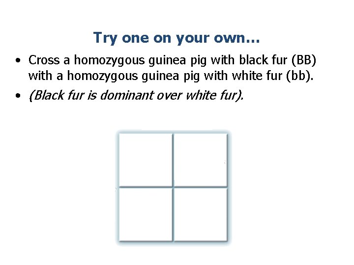 Try one on your own… • Cross a homozygous guinea pig with black fur