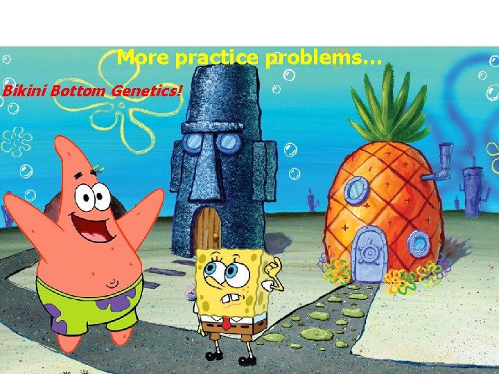 More practice problems… Bikini Bottom Genetics! 