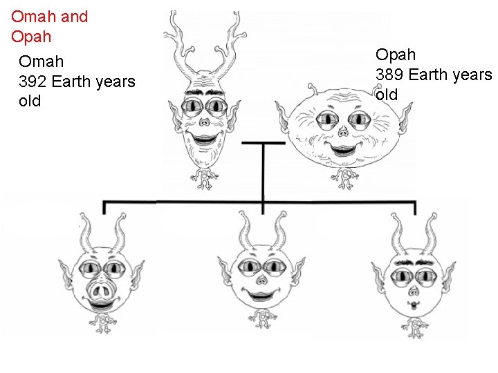 Omah and Opah Omah 392 Earth years old Opah 389 Earth years old 