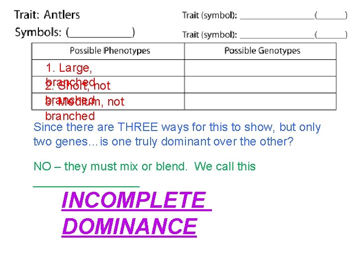 1. Large, branched 2. Short, not branched 3. Medium, not branched Since there are