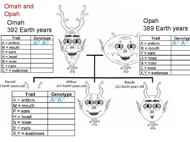 Omah and Opah Omah 392 Earth years old AB A BA S Opah 389