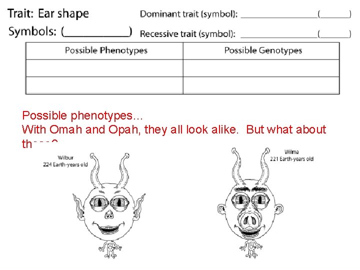 Possible phenotypes… With Omah and Opah, they all look alike. But what about these?