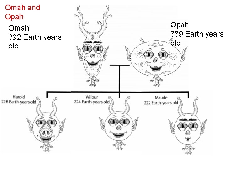 Omah and Opah Omah 392 Earth years old Opah 389 Earth years old 