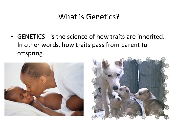 What is Genetics? • GENETICS - is the science of how traits are inherited.