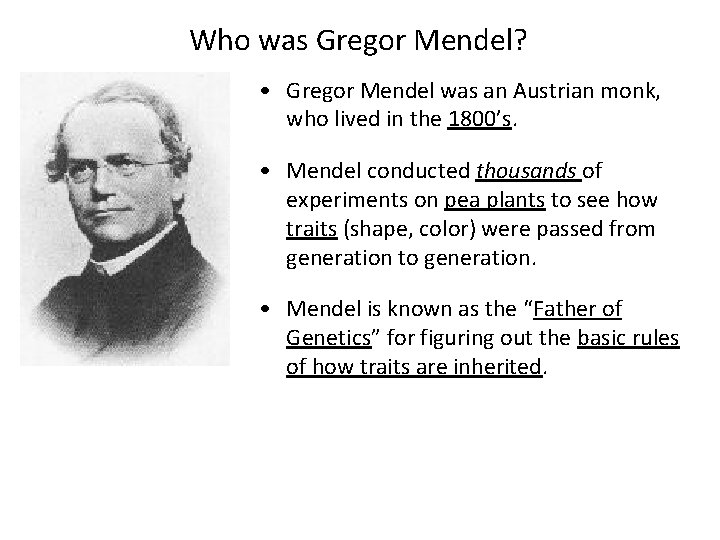 Who was Gregor Mendel? • Gregor Mendel was an Austrian monk, who lived in