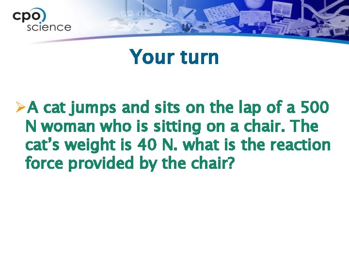 Your turn ØA cat jumps and sits on the lap of a 500 N