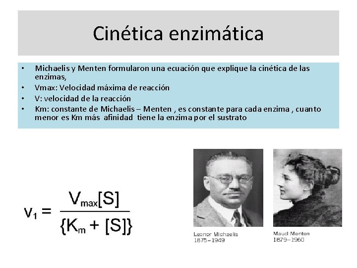 Cinética enzimática • • Michaelis y Menten formularon una ecuación que explique la cinética