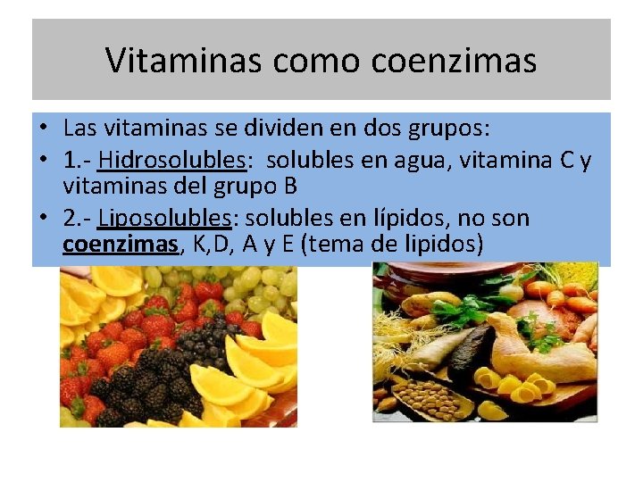 Vitaminas como coenzimas • Las vitaminas se dividen en dos grupos: • 1. -