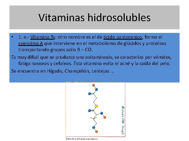 Vitaminas hidrosolubles • 1. e. - Vitamina B 5: otro nombre es el de