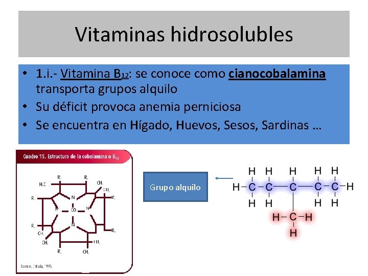 Vitaminas hidrosolubles • 1. i. - Vitamina B 12: se conoce como cianocobalamina transporta