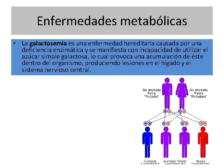 Enfermedades metabólicas • La galactosemia es una enfermedad hereditaria causada por una deficiencia enzimática