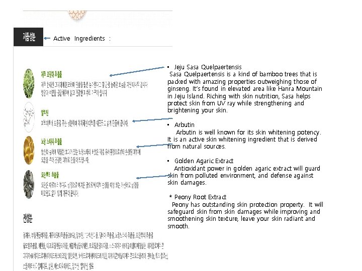 Active Ingredients : • Jeju Sasa Quelpaertensis is a kind of bamboo trees that