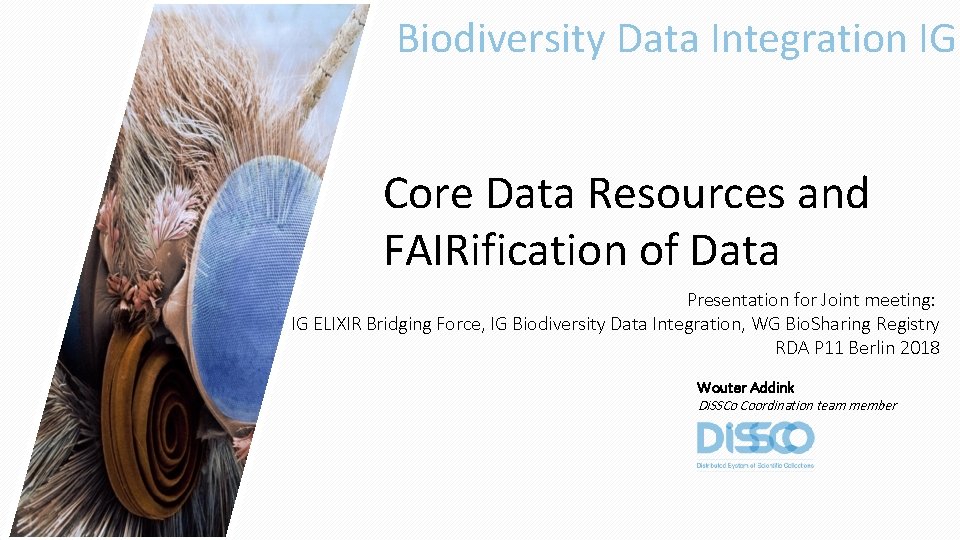 Biodiversity Data Integration IG Core Data Resources and FAIRification of Data Presentation for Joint