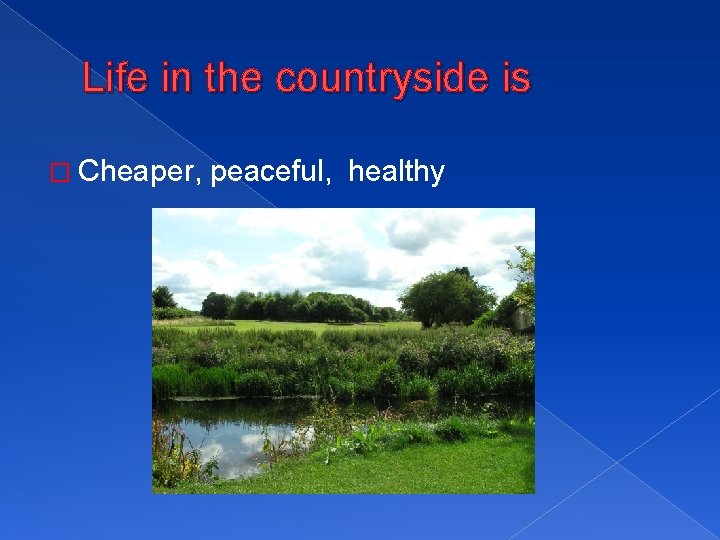 Life Country Negative ADVANTAGES AND DISADVANTAGES OF LIVING IN THE MODERN