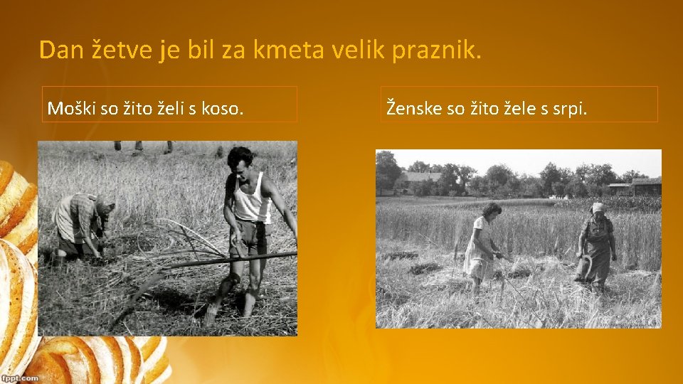 Dan žetve je bil za kmeta velik praznik. Moški so žito želi s koso. Dan žetve je bil za kmeta velik praznik. Moški so žito želi s koso.