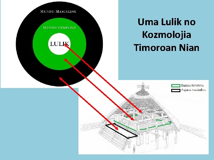 Uma Lulik no Kozmolojia Timoroan Nian 