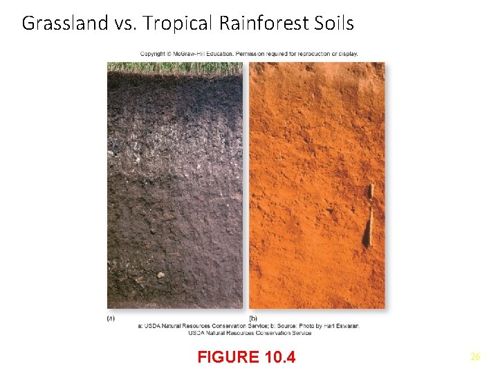 Grassland vs. Tropical Rainforest Soils FIGURE 10. 4 26 