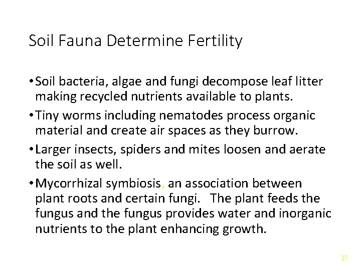 Soil Fauna Determine Fertility • Soil bacteria, algae and fungi decompose leaf litter making