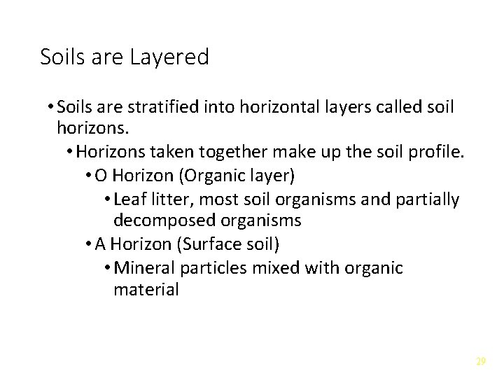 Soils are Layered • Soils are stratified into horizontal layers called soil horizons. •