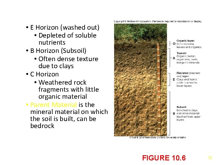  • E Horizon (washed out) • Depleted of soluble nutrients • B Horizon