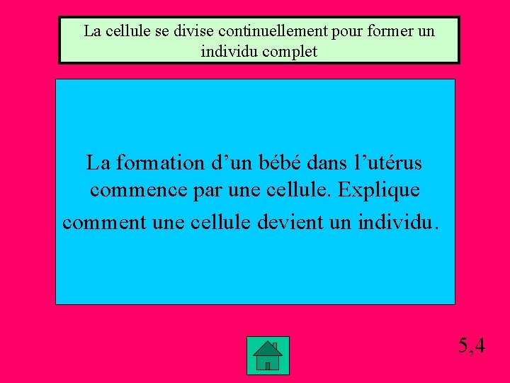 La cellule se divise continuellement pour former un individu complet La formation d’un bébé La cellule se divise continuellement pour former un individu complet La formation d’un bébé