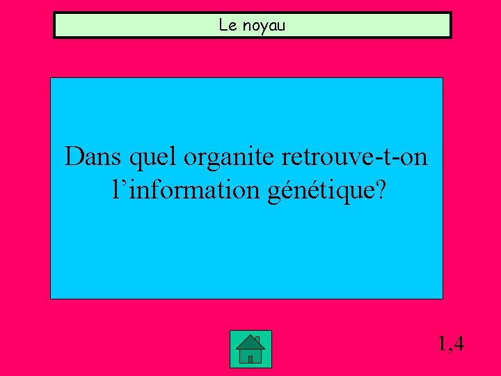 Le noyau Dans quel organite retrouve-t-on l’information génétique? 1, 4 Le noyau Dans quel organite retrouve-t-on l’information génétique? 1, 4