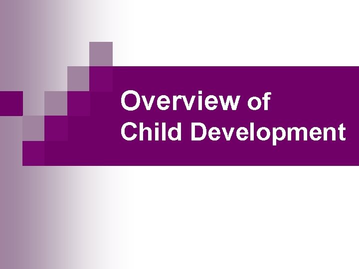 Overview of Child Development 