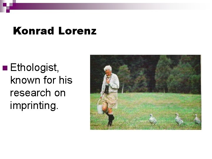 Konrad Lorenz Ethologist, known for his research on imprinting. 