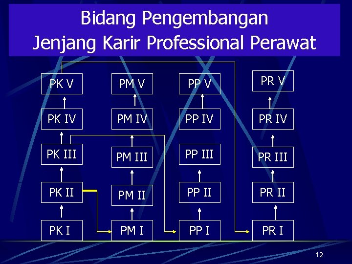 Bidang Pengembangan Jenjang Karir Professional Perawat PK V PM V PP V PR V