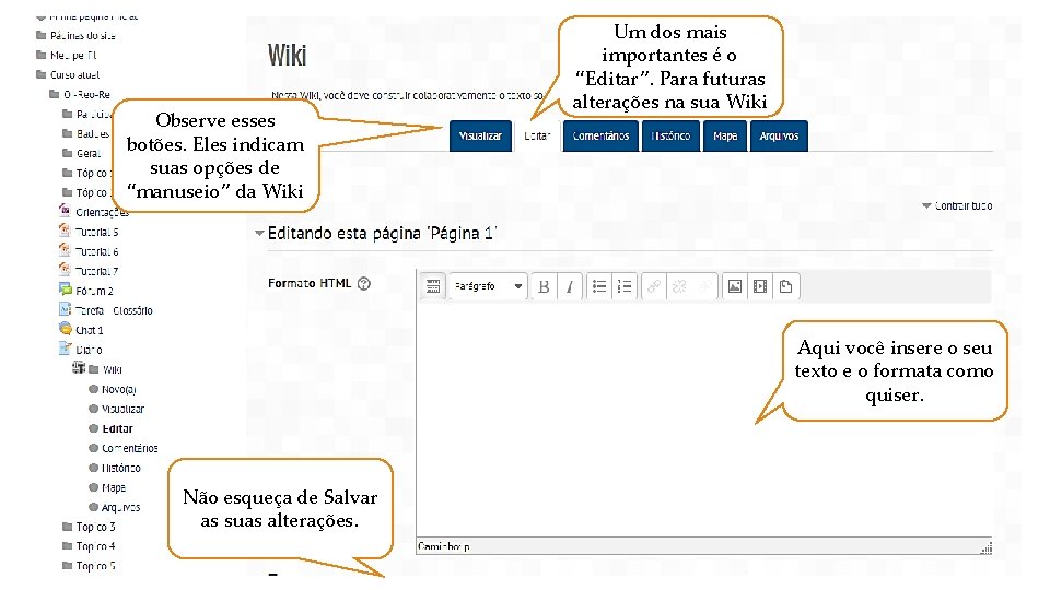 Observe esses botões. Eles indicam suas opções de “manuseio” da Wiki Um dos mais