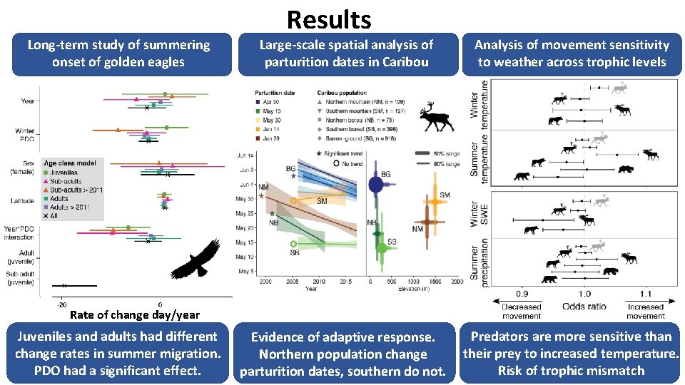 Long-term study of summering onset of golden eagles Results Large-scale spatial analysis of parturition