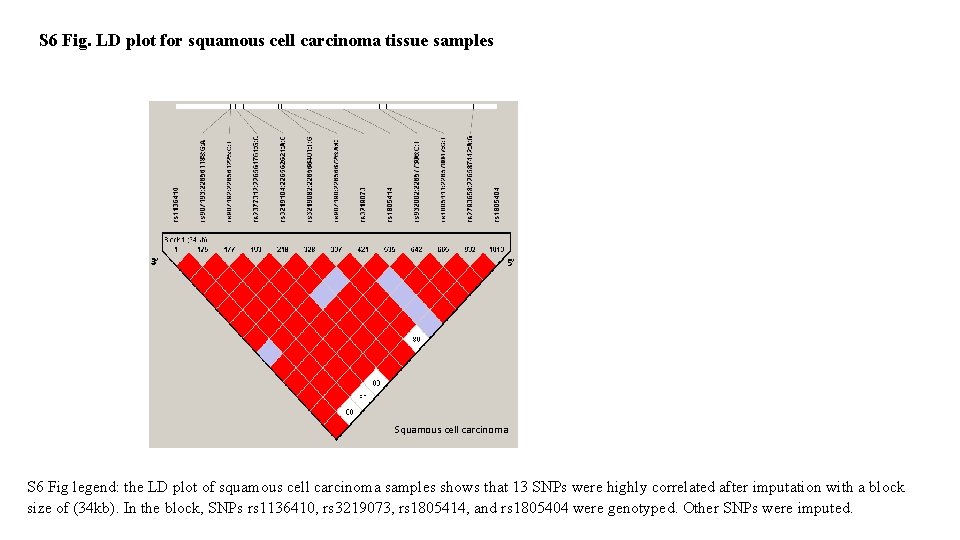 S 6 Fig. LD plot for squamous cell carcinoma tissue samples 3’ 5’ Squamous