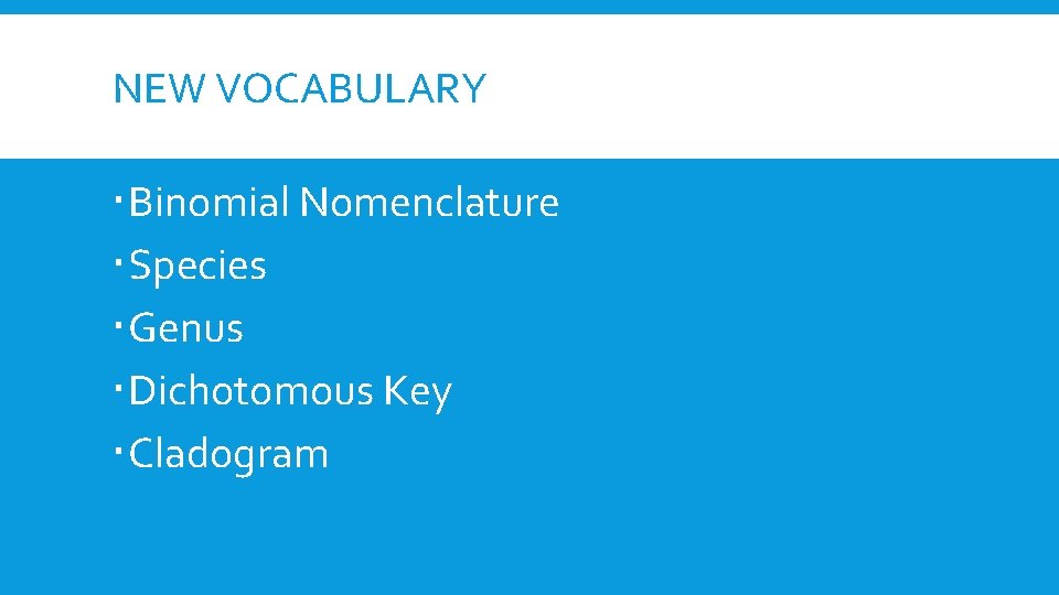 NEW VOCABULARY Binomial Nomenclature Species Genus Dichotomous Key Cladogram 